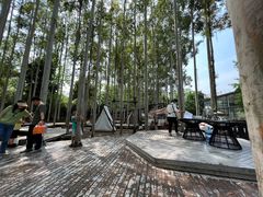 -桉树林A coffee 森林餐厅(三圣乡店)