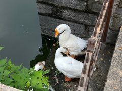 -苏州碑刻博物馆