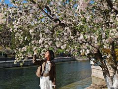 -元大都城垣遗址公园