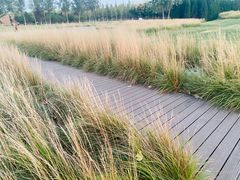 -汉长安城未央宫国家考古遗址公园