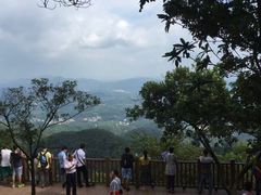-广州市帽峰山景区