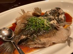 -万豪中餐厅·粤菜·北京粤财JW万豪酒店