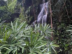 -燕晗山郊野公园