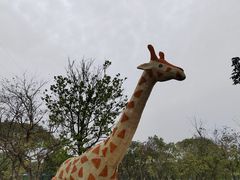 -长洲岛都市农业公园