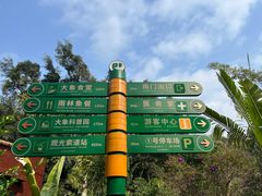 -野象谷景区