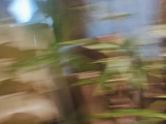 -宏宴·新京菜(望京店)