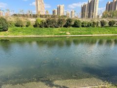 -菊园百果园
