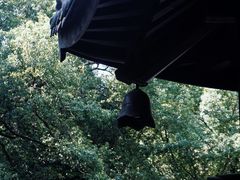 -宁波市保国寺古建筑博物馆