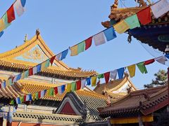 -大召无量寺