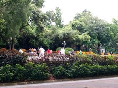 -人民公园(罗湖区)