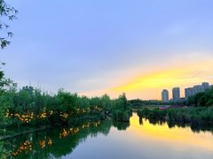 -伊犁河景区