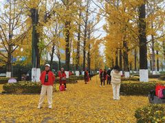 -百林公园-两江幸福广场