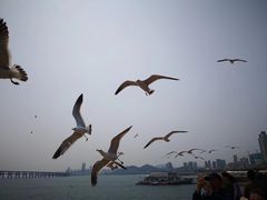 -万宝海鲜舫(劳动公园店)