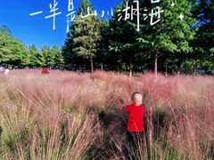 -苏州东太湖生态园