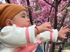 -雀儿山公园