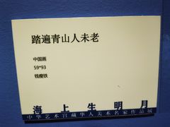 -中华艺术宫(上海美术馆)