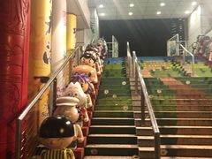 -九龙公园