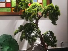 -大榕树下顺德菜(融创茂店)