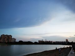 -金沙湖公园
