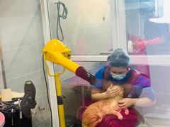 -宠福鑫康馨动物医院·骨科·眼科