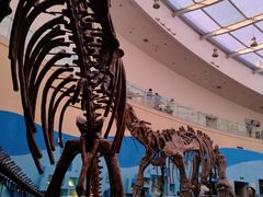 -陕西自然博物馆