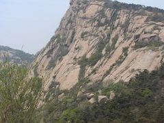 -鲁山国家森林公园