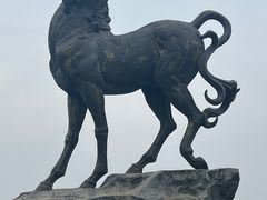 -洋湖国家湿地公园