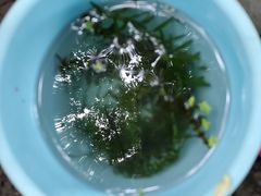 -成都市活水公园