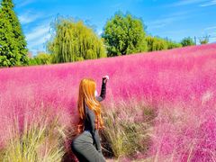 -羊亭河湿地公园