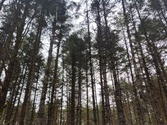 -石棉县孟获城