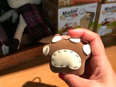 -猫咪博物馆(顶澳仔猫街店)