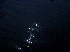 -重庆市江北嘴中央商务区中央公园