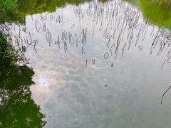 -八卦田遗址公园