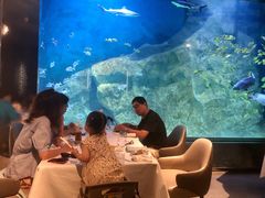 -渔火·特色餐厅(佘山世茂洲际酒店)