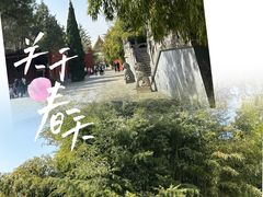 -洛阳白马寺