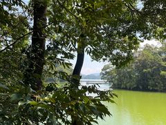 -广州市流溪河国家森林公园