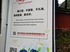 -雁荡山三折瀑景区