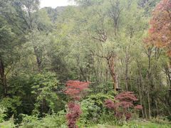 -叠溪松坪沟景区