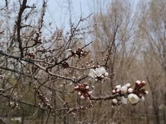 -长春公园(普阳街道)