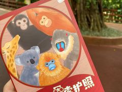 -广州长隆野生动物世界