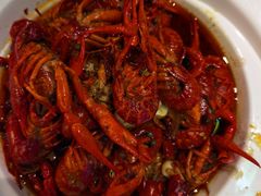 招牌麻辣小龙虾-霸王虾·麻辣小龙虾(清水河公园店)