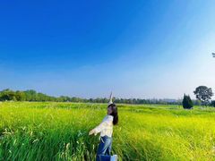 -汉长安城未央宫国家考古遗址公园