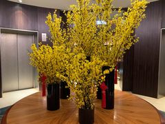 -新加坡文华东方酒店