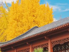 -郑和公园