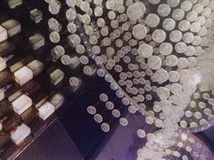 -裕龙汤泉
