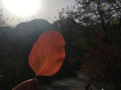 -阳台山自然风景区