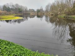 -桤木河湿地公园