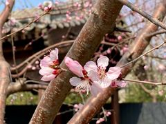 -三里河公园