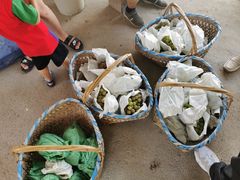 -马陆小张葡萄园农家乐