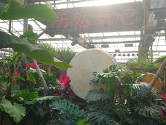 -呀路古热带植物园